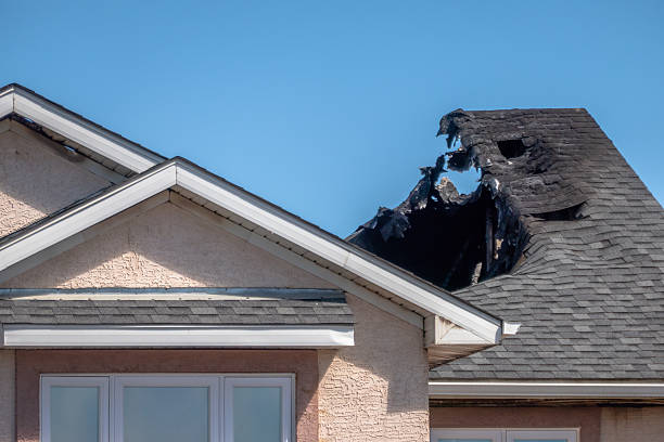 Top rated local Fire Damage Removal specialists in Henriette, MN